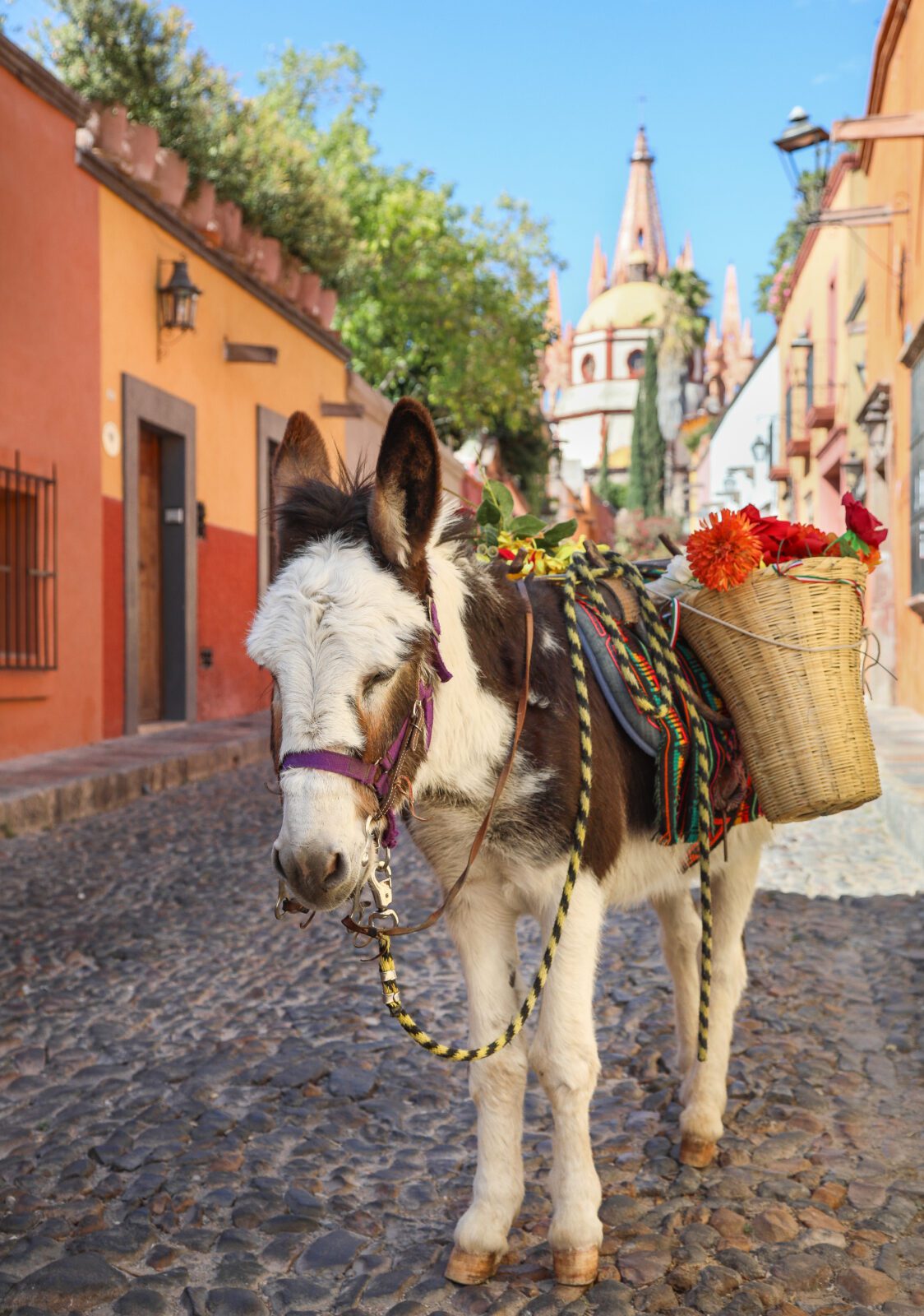 San Miguel de Allende