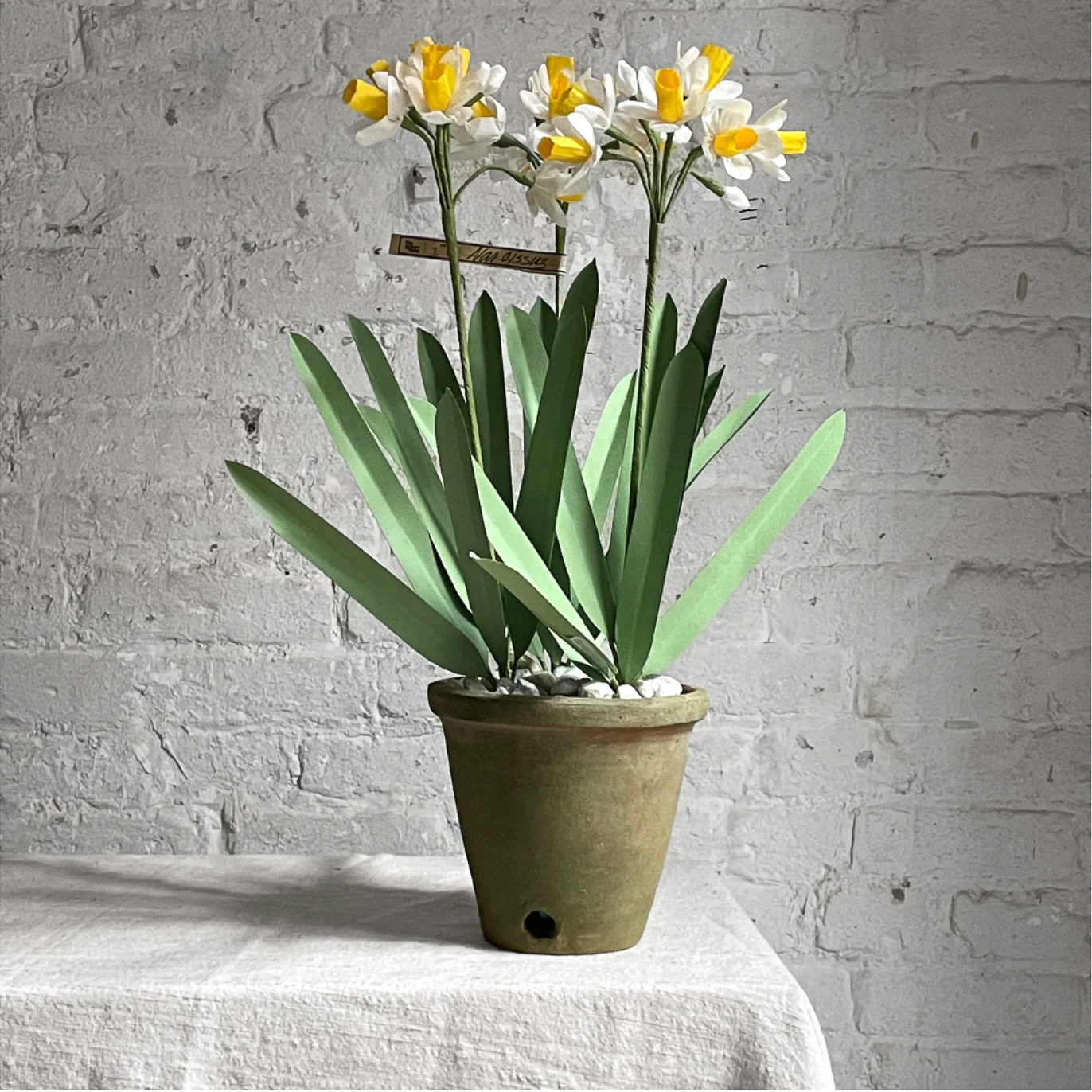 Paper potted narcissus